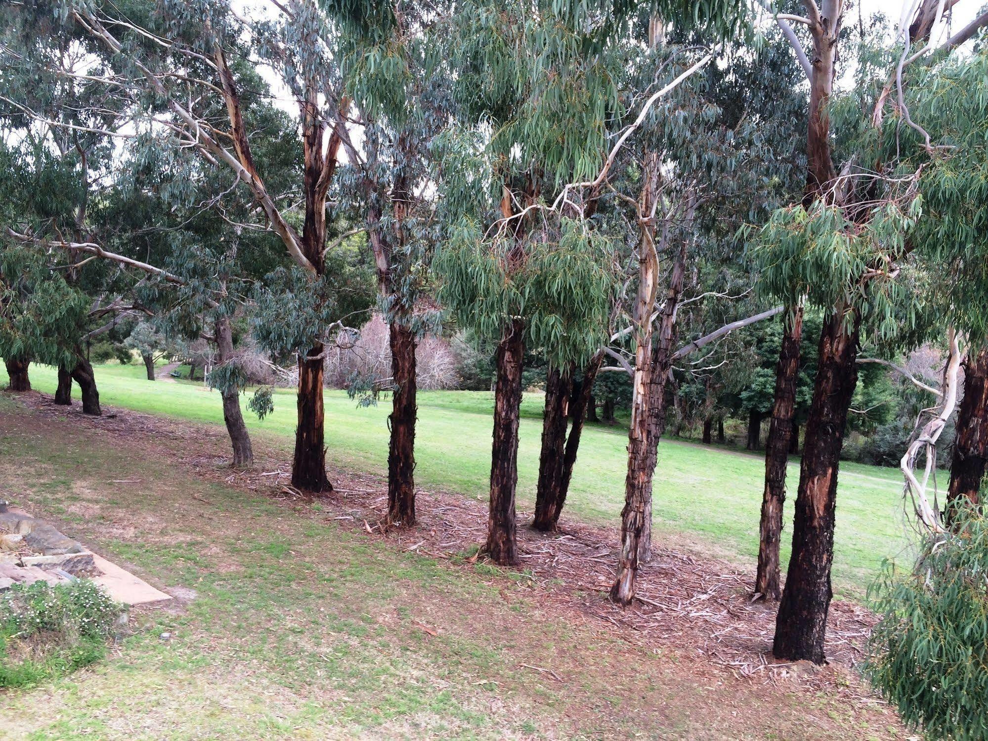 Daylesford By The Lake Cute&Cosy Studio Hotel Bagian luar foto