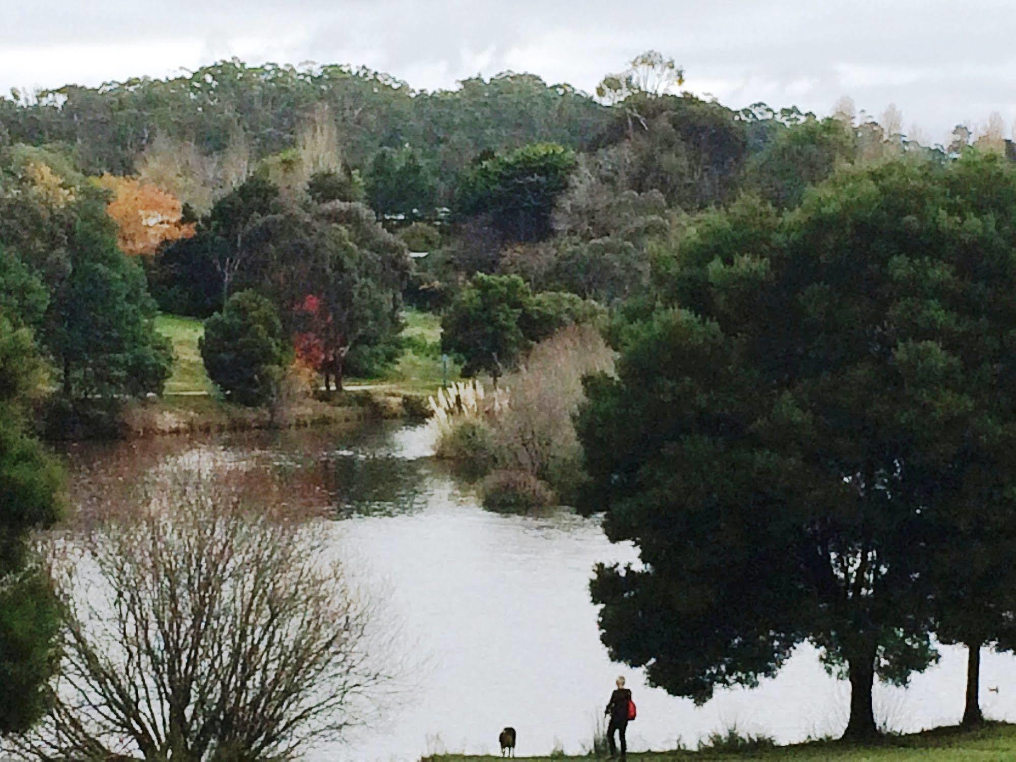 Daylesford By The Lake Cute&Cosy Studio Hotel Bagian luar foto